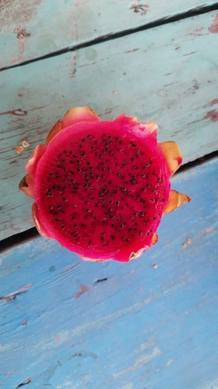 Pitaya